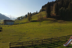 Ausblick