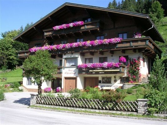 HAUSFOTO SOMMER