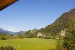 App 32_Hahn- 1