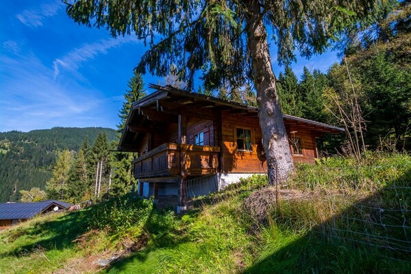 Hausfoto Sommer