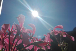 Morgensonne am Balkon