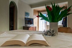 Appartements-Monuth-Appartement16 Wohnraum3