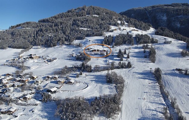 Palfengut-26.01.2012-05R