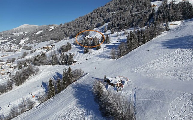 Palfengut-26.01.2012-04R