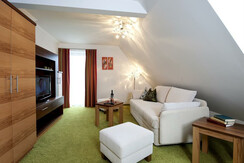 Parkvilla-Bad-Hofgastein-Panorama-Wohnraum