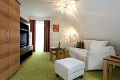 Parkvilla-Bad-Hofgastein-Wohnung-Amade-Wohnraum