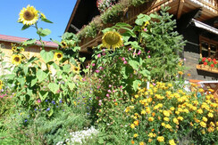 Bauerngarten 