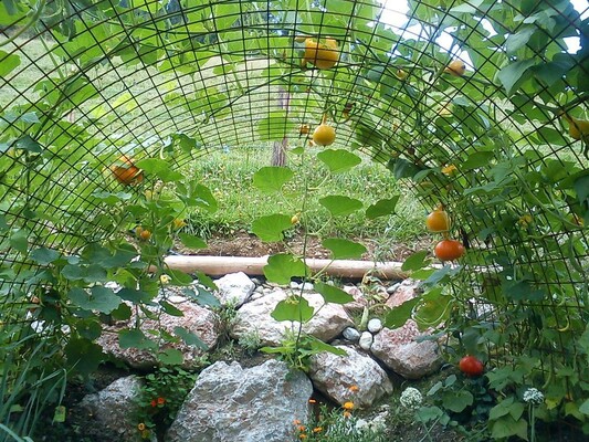 Der Schaugarten