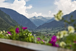 Ausblick
