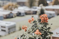 wieshof_stjohann_91