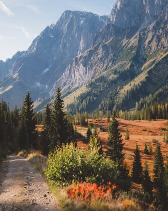 Autumn landscape with discoloured trees and the almond wall in the picture. | © Hochkönig Tourismus GmbH