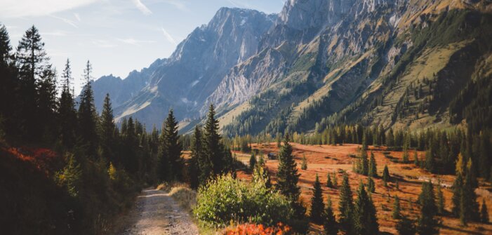 Autumn landscape with discoloured trees and the almond wall in the picture. | © Hochkönig Tourismus GmbH