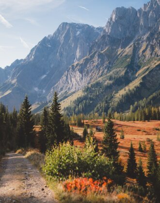 Autumn landscape with discoloured trees and the almond wall in the picture. | © Hochkönig Tourismus GmbH