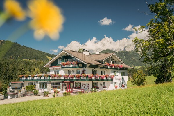 Bergrast-Sommer2