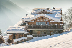 chalet
