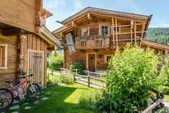 AussenGoasSommer1