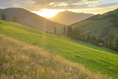 Aussicht Sommer