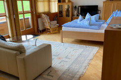 Loft Hofalm 1