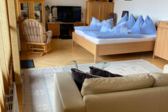 Loft Hofalm 3