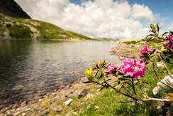 wandern-am-palfnersee
