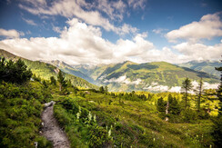 Almlandschaft