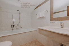 Bathroom Double Room Attic