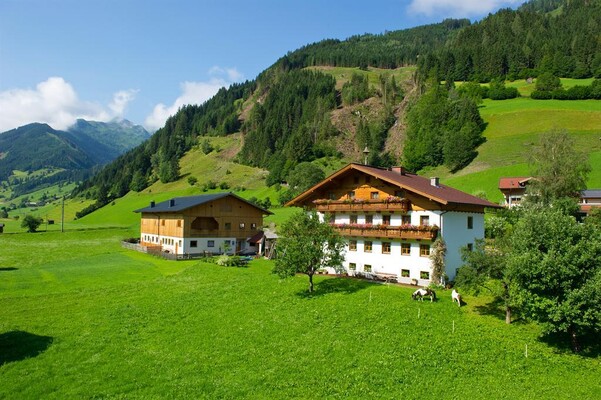 Haus_Sommer