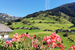 view balkony