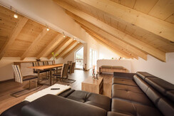 Penthouse PLUS (1)