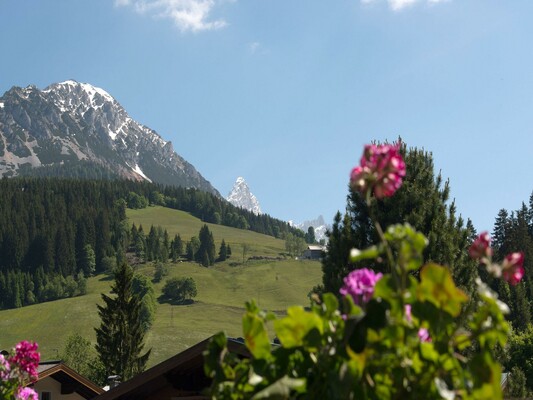 Blick vom Balkon