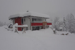 Das Jahr 2011