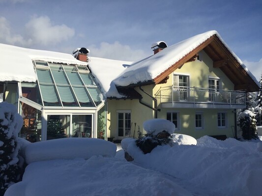 Holiday Winter