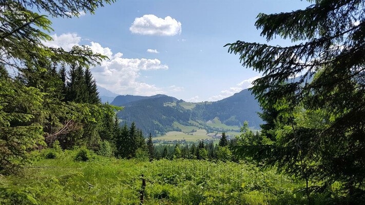 Wandern | © Rudi Dudek jun.