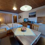 Photo of ap./combined living-bed-room/shower, WC