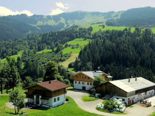 Bauernhaus mit Nebenhaus und Stall von oben