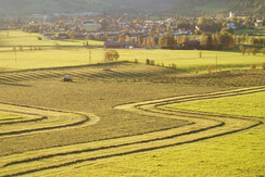 Sommerausblick in Apfel
