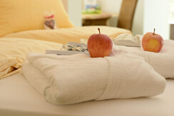familienzimmer-almwiese_hotel-hartweger_A15_3843