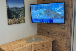 living TV