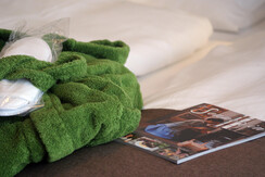 Zimmer_Image (4)