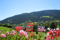 Ausblick_DZ