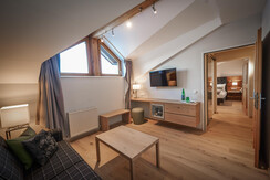 Suite ohne Balkon