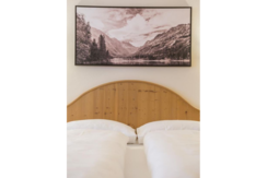 Zimmer Wald 1