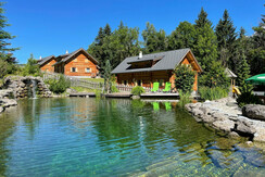 Teich