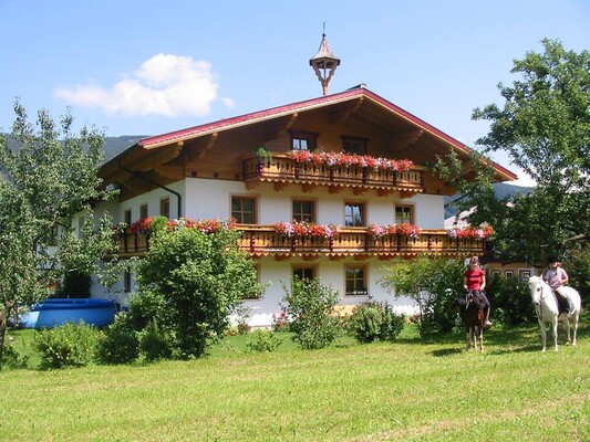 Kugellehen-im-Sommer | © Franz Kahr