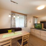 Photo of ap./combined living-bed-room/shower, WC