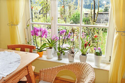 Gartenfenster