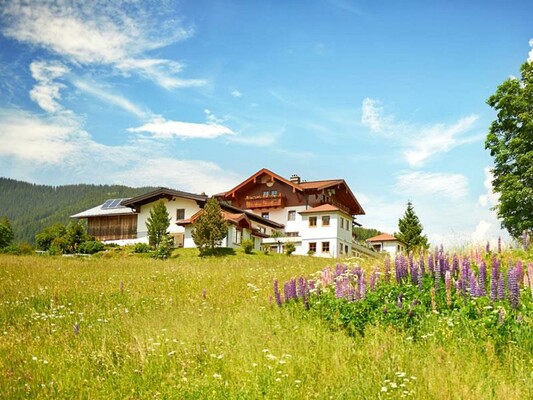 Mittersteghof Sommer | © Mittersteghof
