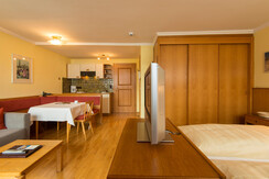 Appartement-Monuth-Bad-Hofgastein-Typ-D-Studio