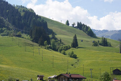 Aussicht App N 5