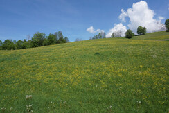 Aussicht App N 4